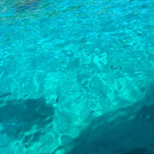 Boat trip - Image 3